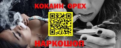 гашик Камышлов