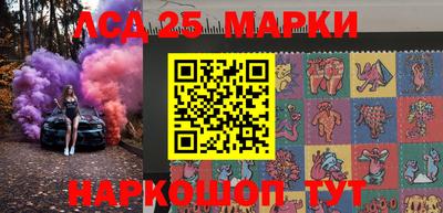 гашик Камышлов