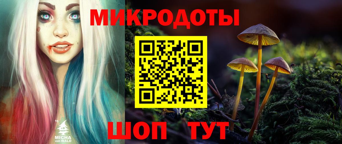 Лениногорск  Псилоцибиновые грибы прущие грибы  Вход с VPN 